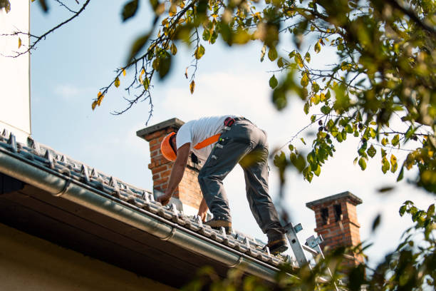 Best Solar Panel Roofing Installation  in Somerset, OH