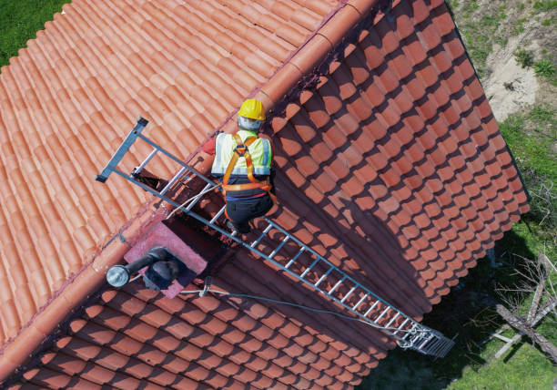 Best Roof Moss and Algae Removal  in Somerset, OH